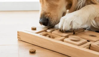 Close-up of a dog's paw and snout interacting with a natural wooden puzzle toy filled with treats on a light oak floor.